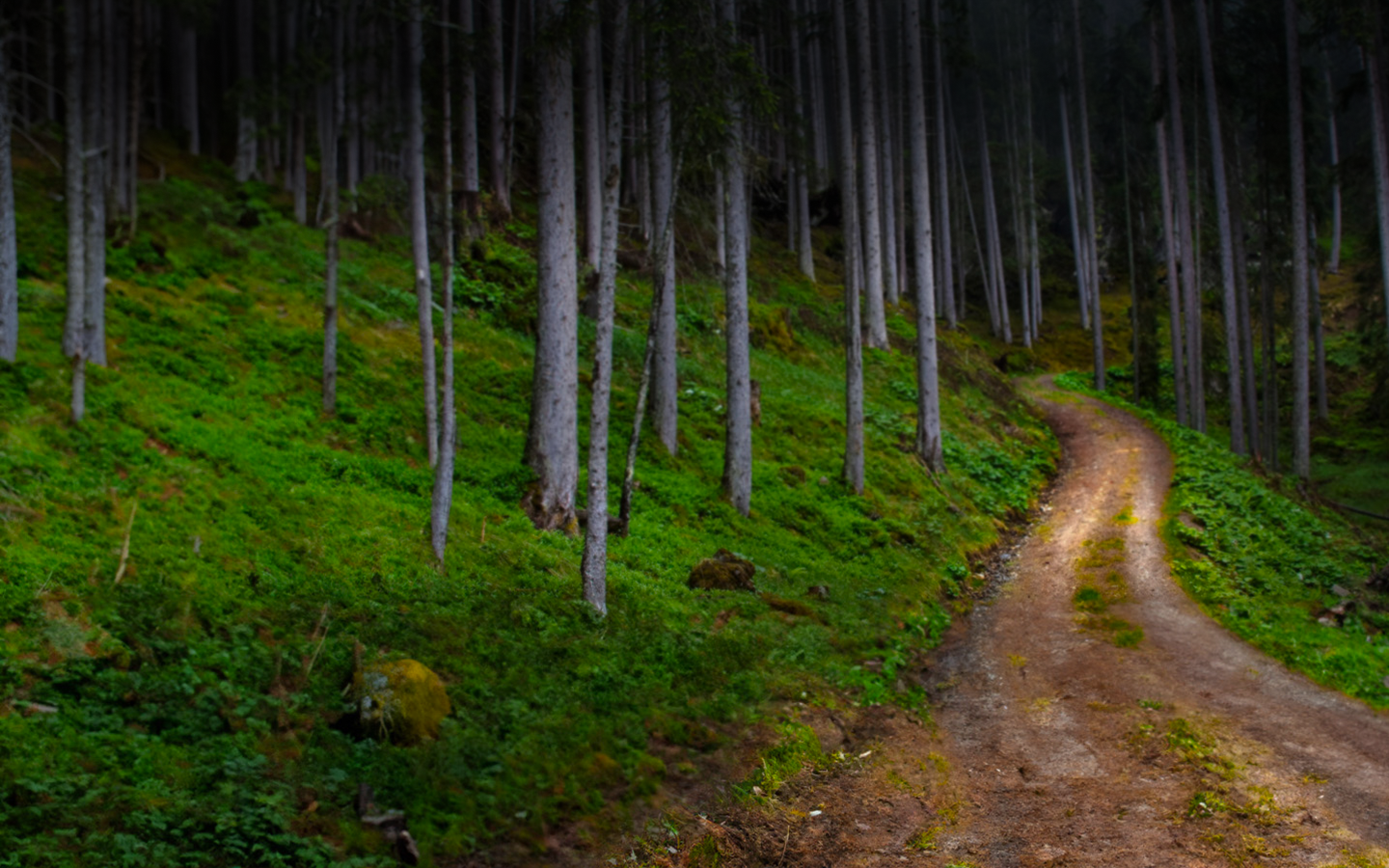 Trek centrum